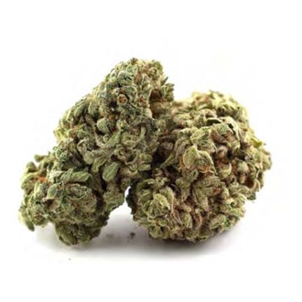Fleurs CBD Amnesia