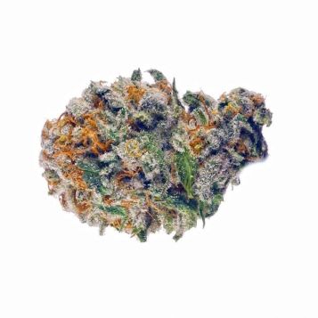 Fleur CBD Dark Devil Premium Purple &mdash; Producteur Loire