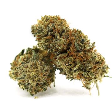 Fleur CBD Zero Gravity 0% THC Greenhouse, Origine Suisse