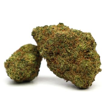 Fleurs CBD Hollywood - Sachet Premium Indoor 3,5g