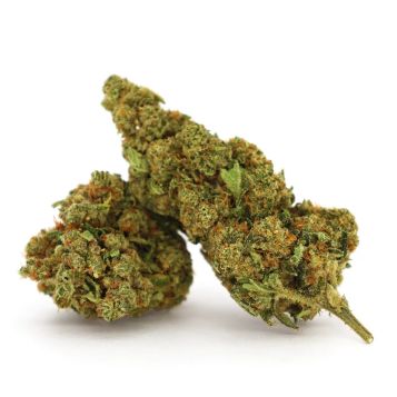 Fleurs Hawaiian Rain CBD