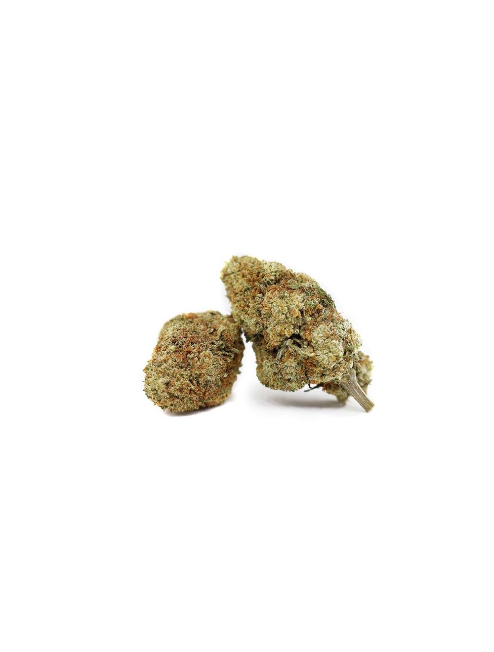 Fleur CBD Cannalight Greenhouse, Origine Suisse