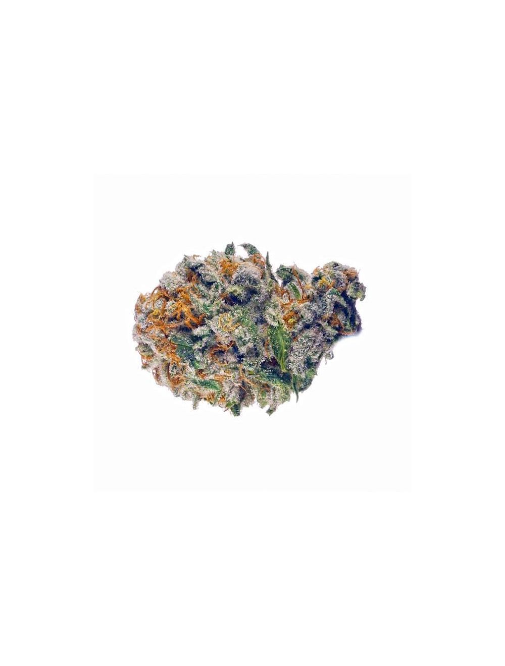 Fleur CBD Dark Devil Premium Purple, Producteur Loire