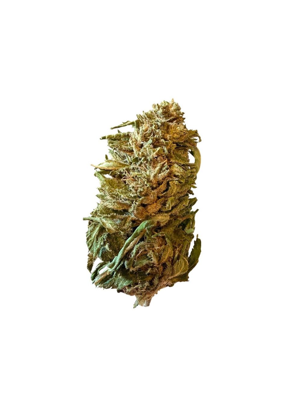 Fleur CBD Strawberry x Panakeia Outdoor, Producteur Tarn