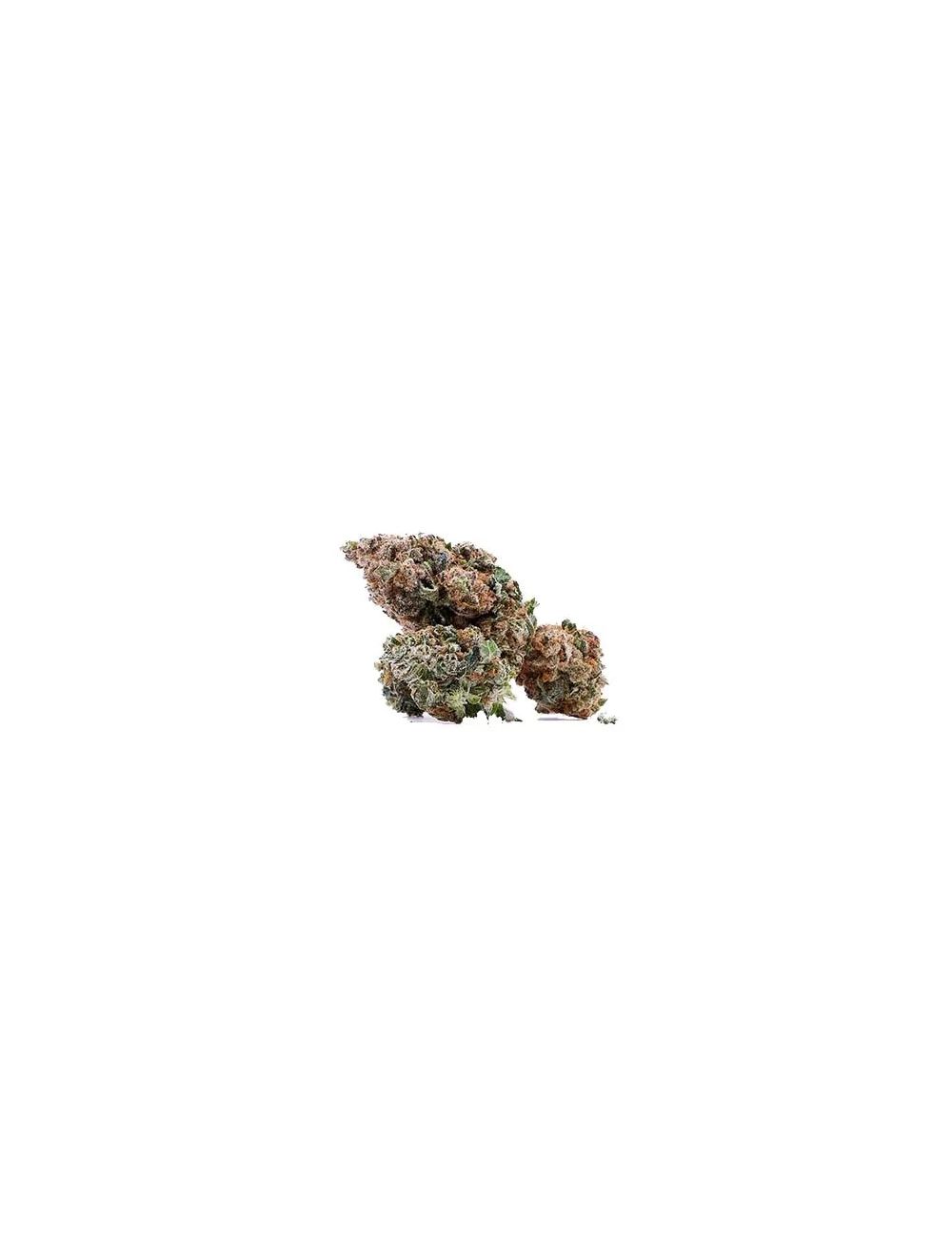 Fleur CBG Orange Bud Indoor - Variété riche en cannabigérol