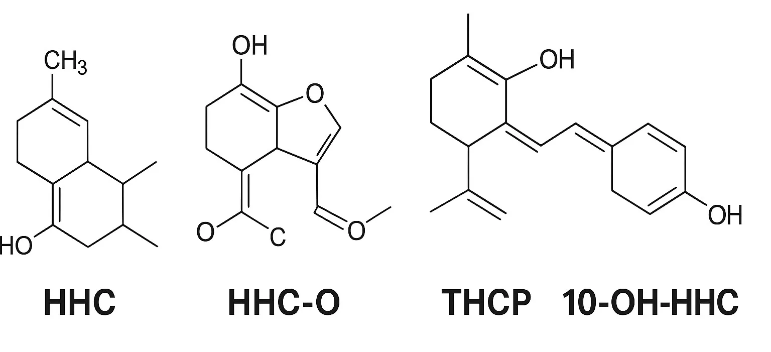 Cannabinoïdes de synthèse