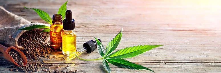 Teinture cbd vs huile cbd
