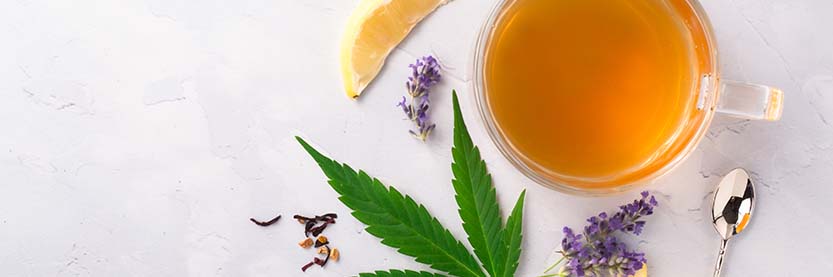 Tout savoir sur les infusions au CBD 