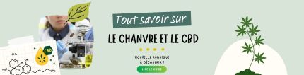Le guide complet du CBD